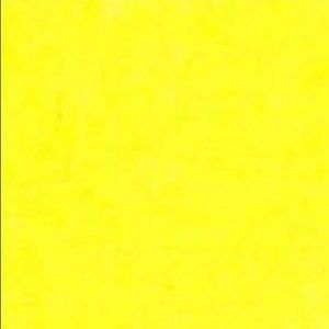 Meet your Posher, Karina